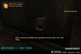 辐射新维加斯秘籍代码大全，解决卡bug与开启上帝模式