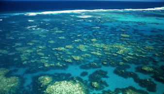 2026年金苹果群岛海螺位置全解,奇异海螺怎么找最快? 2026年金苹果群岛海螺位置全解,奇异海螺怎么找最快?