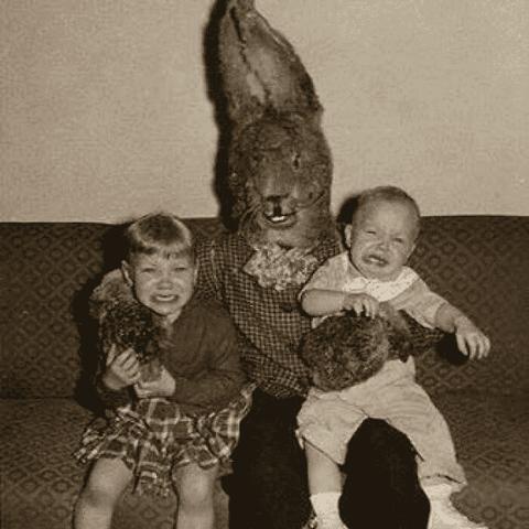 揭秘愤怒的死亡兔子，隐藏收集要素与高难度生存指南