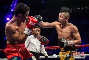 拳击俱乐部经营全解，从负债累累到拳坛霸主的逆袭之路