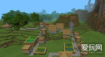我的世界村庄类型大盘点，哪类村庄交易最赚且生存资源最丰富？