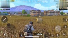 别被割韭菜！深度解析游戏收藏版选购门道与升值潜力