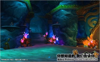 魔兽世界潮汐王座怎么去?全BOSS打法与稀有掉落深度解析 魔兽世界潮汐王座怎么去?全BOSS打法与稀有掉落深度解析