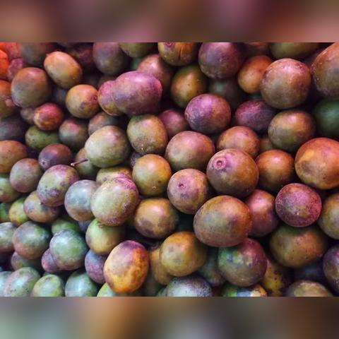 极品飞车5中文版还能玩吗？Win10/11完美安装与工厂模式硬核通关指南