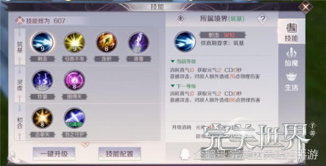 揭秘羽芒新天翼最强流派，2026年PVP加点与实战技巧